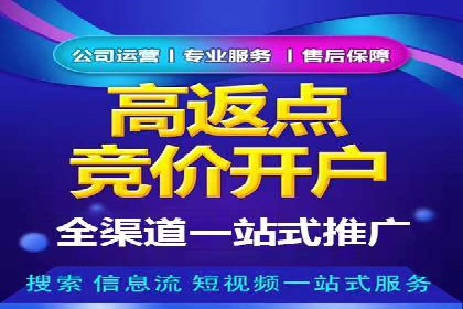 SEM服务托管实战案例分析报告